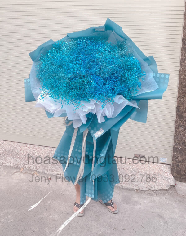 Hoa Sáp Vũng Tàu, Hoa Baby Cầu Vồng Vũng Tàu