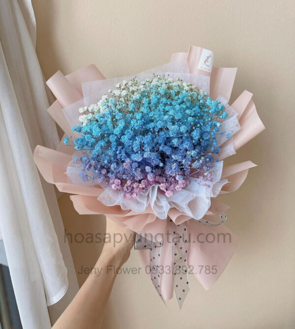 Hoa Sáp Vũng Tàu, Hoa Baby Cầu Vồng Vũng Tàu