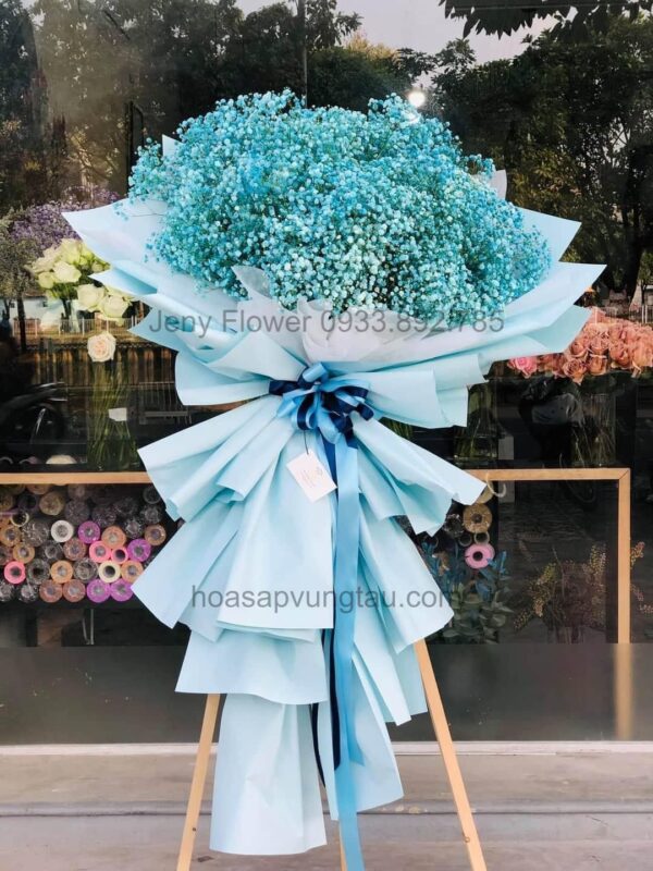 Hoa Sáp Vũng Tàu, Hoa Baby Cầu Vồng Vũng Tàu