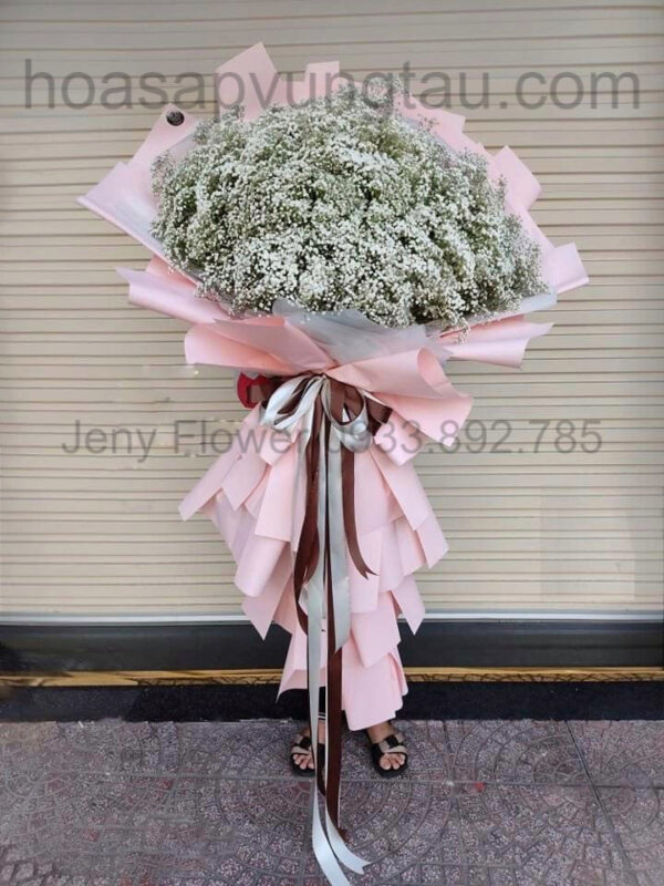 Hoa Sáp Vũng Tàu, Hoa Baby Cầu Vồng Vũng Tàu