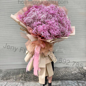 Hoa Sáp Vũng Tàu, Hoa Baby Cầu Vồng Vũng Tàu