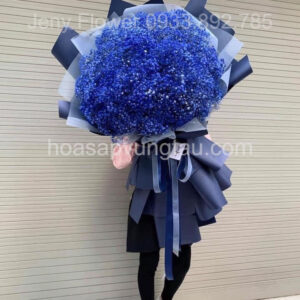 Hoa Sáp Vũng Tàu, Hoa Baby Cầu Vồng Vũng Tàu