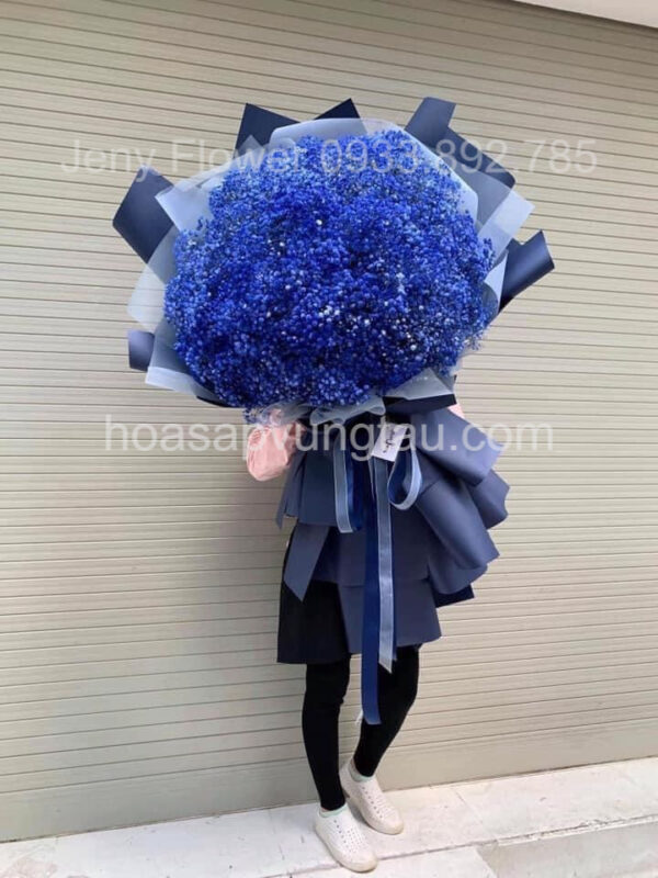 Hoa Sáp Vũng Tàu, Hoa Baby Cầu Vồng Vũng Tàu