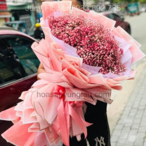Hoa Sáp Vũng Tàu, Hoa Baby Cầu Vồng Vũng Tàu